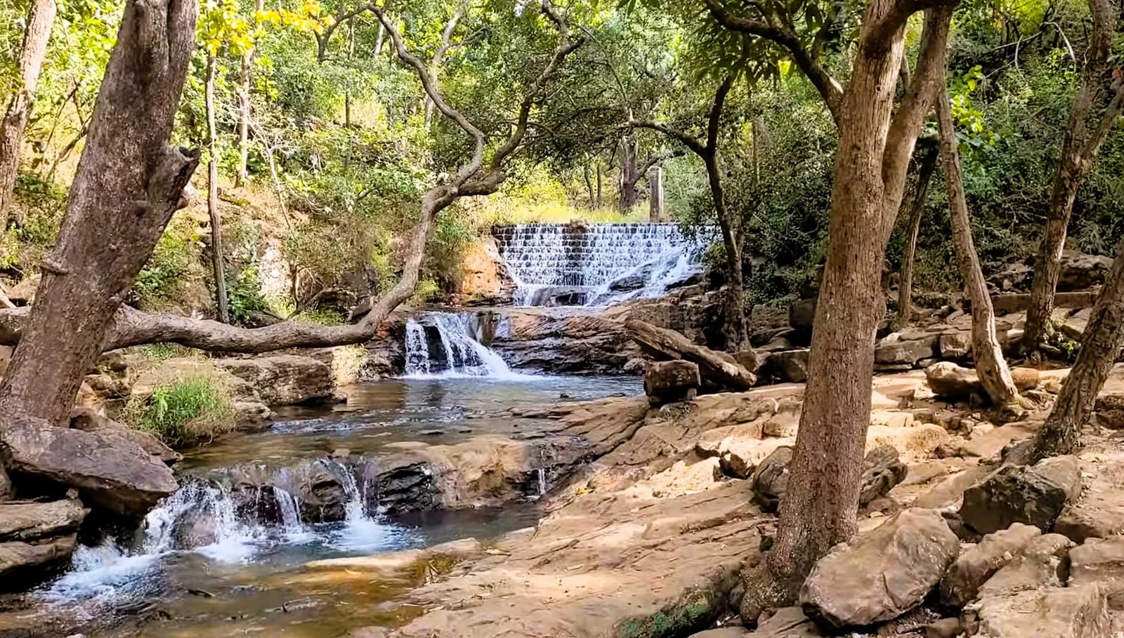 Divya-yatra