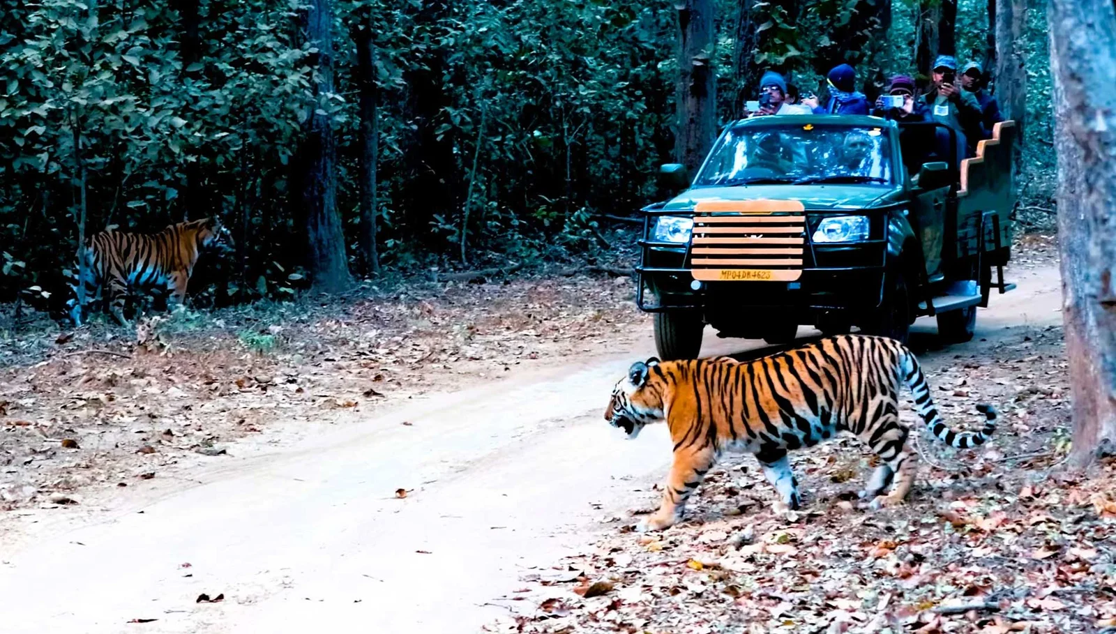 Jabalpur Kanha Tour Package