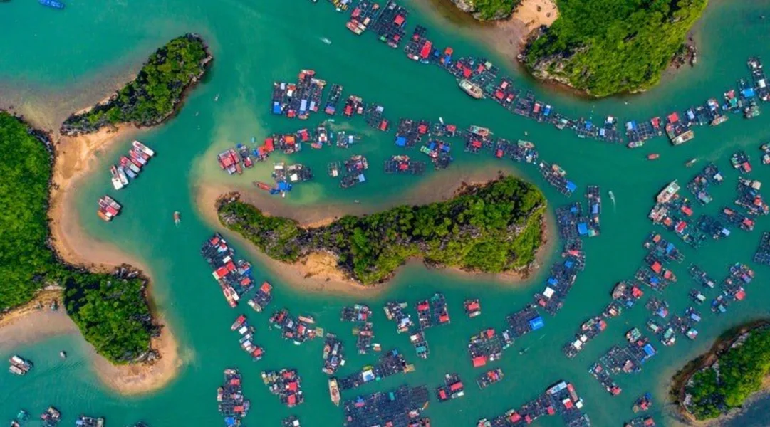 Majuli Tour Package