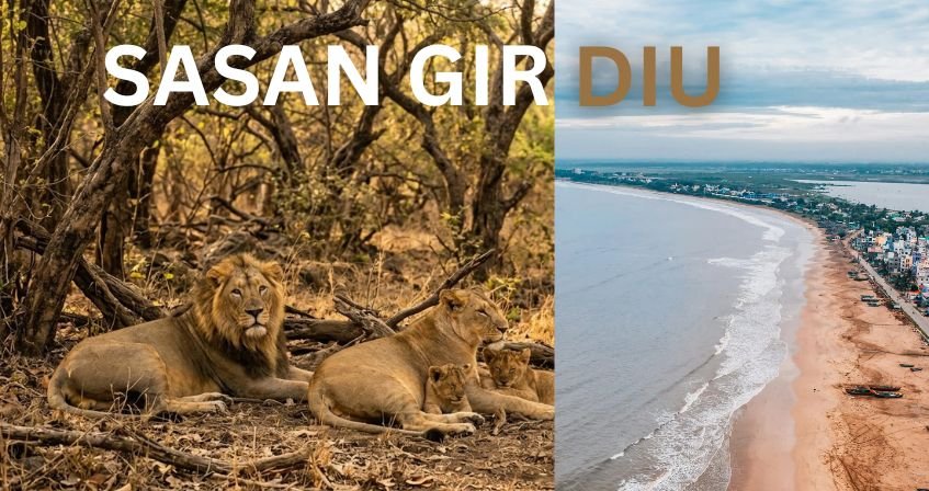 Sasan Gir And Diu Package