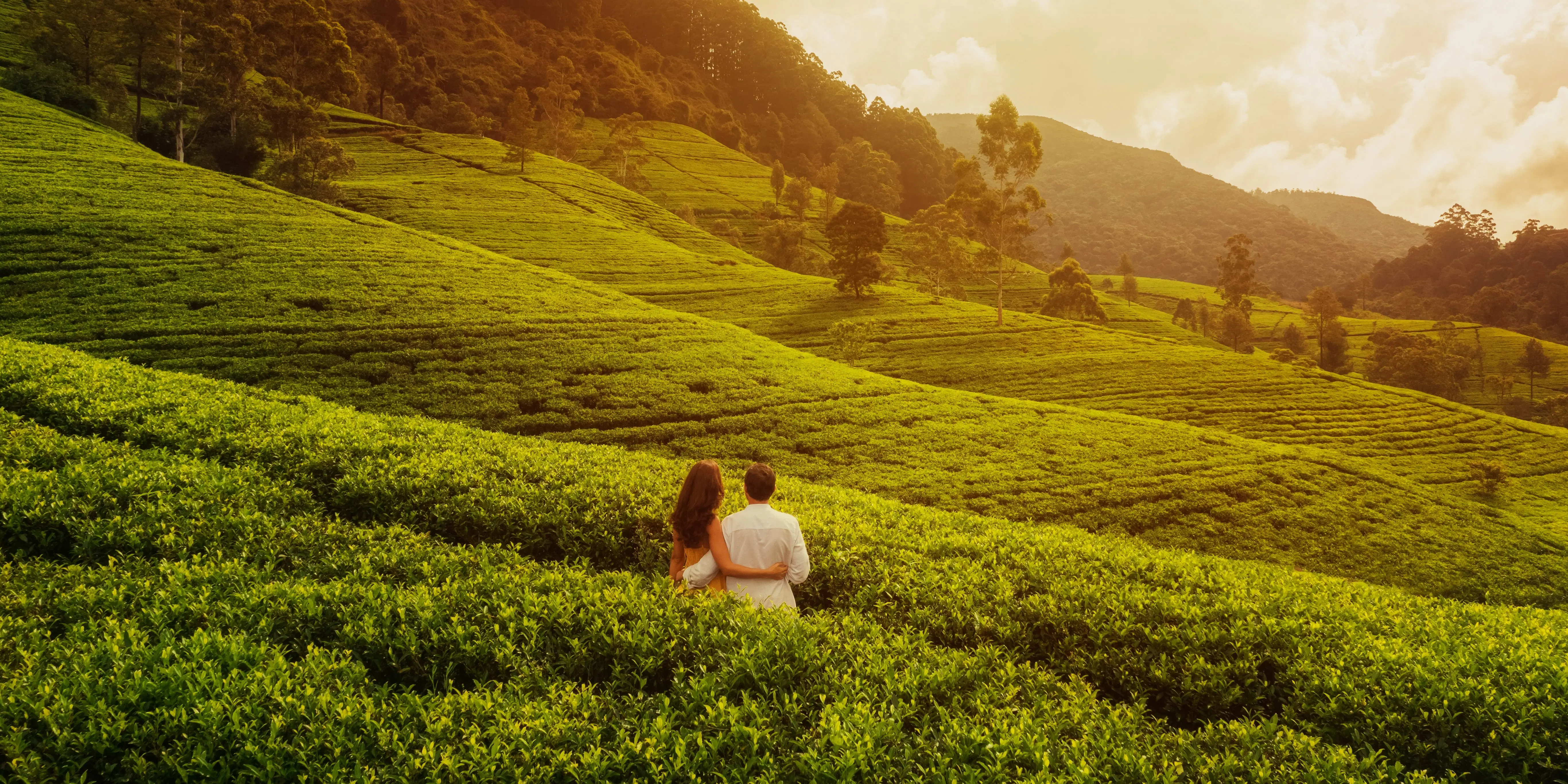 South India Tour Packages For Family