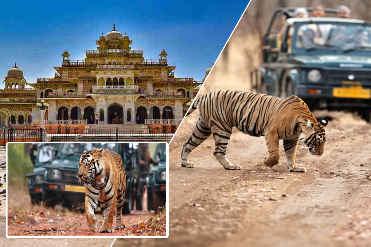 Jaipur Ranthambore National Park Tour Package