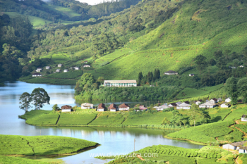 Cochin Munnar Thekkady Tour Package