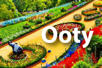 Mysore, Ooty, Kodaikanal Tour Package Ex Bangalore