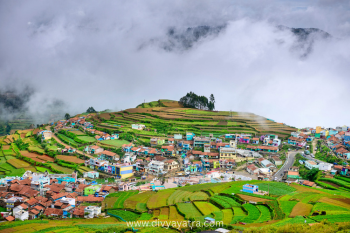 Ooty & Kodaikanal Tour Package