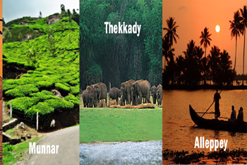 Cochin Munnar Thekkady Alleppey Tour Package
