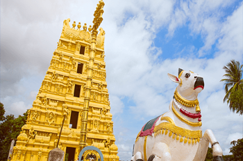 Mallikarjuna Srisailam Package from Hyderabad